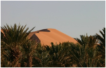Ouzina Rimal